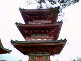 NEC_0011.jpg