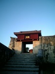 DVC00010_M.jpg