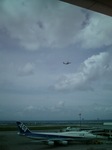 DVC00003_M.jpg